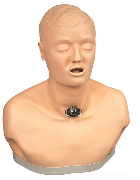 氣管切開(kāi)護(hù)理模型(成人)