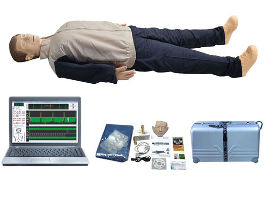 電腦模擬急救心肺復(fù)蘇模型