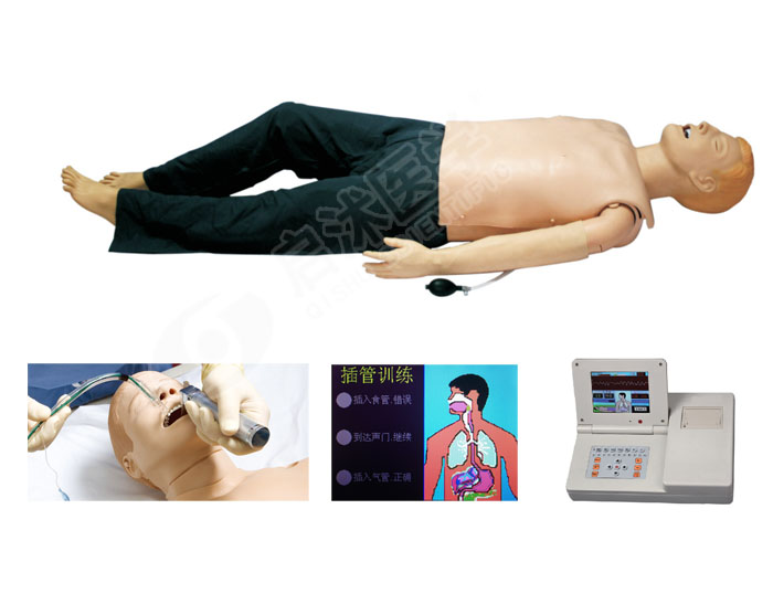 成人心肺復(fù)蘇培訓(xùn)模擬人